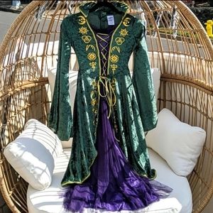 Adult Hocus Pocus Winifred Sanderson Costume